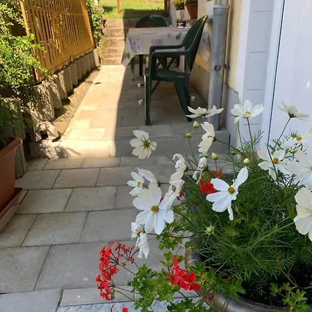 Goldener Drache Hohekreuz