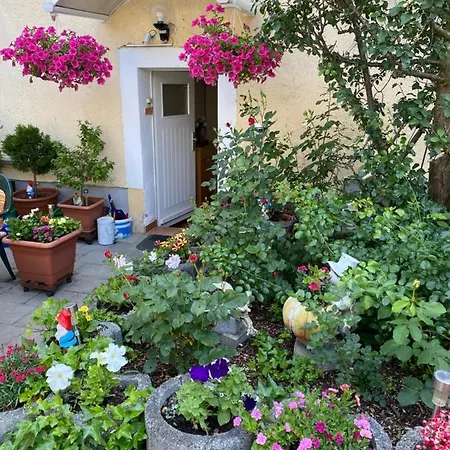 Goldener Drache 3* Hohekreuz