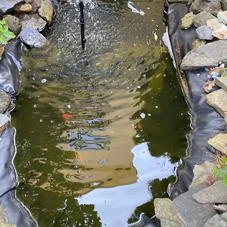 Goldener Drache בית הארחה Hohekreuz